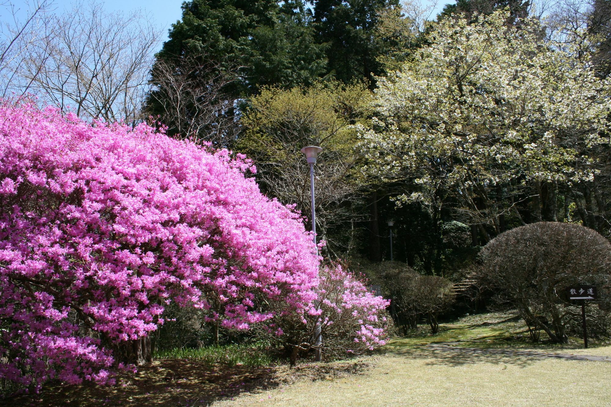 Hotel Senkyoro Hakone Exterior foto